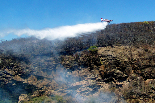 Aviones contra incendios en Zapopan