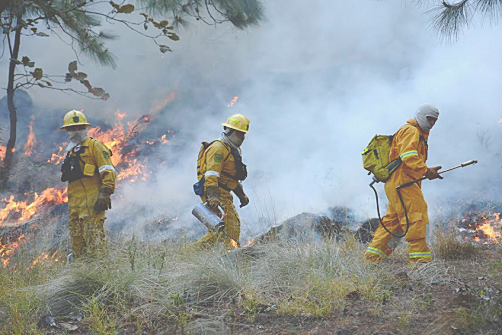 Capacitación en combate a incendios forestales