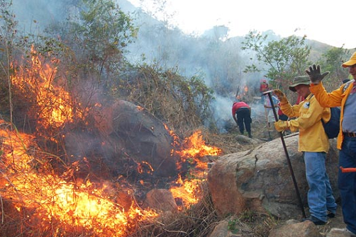 Cursos en combate a incendios forestales