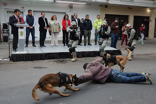 Escuadrón canino