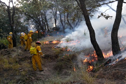 Combate a incendios forestales