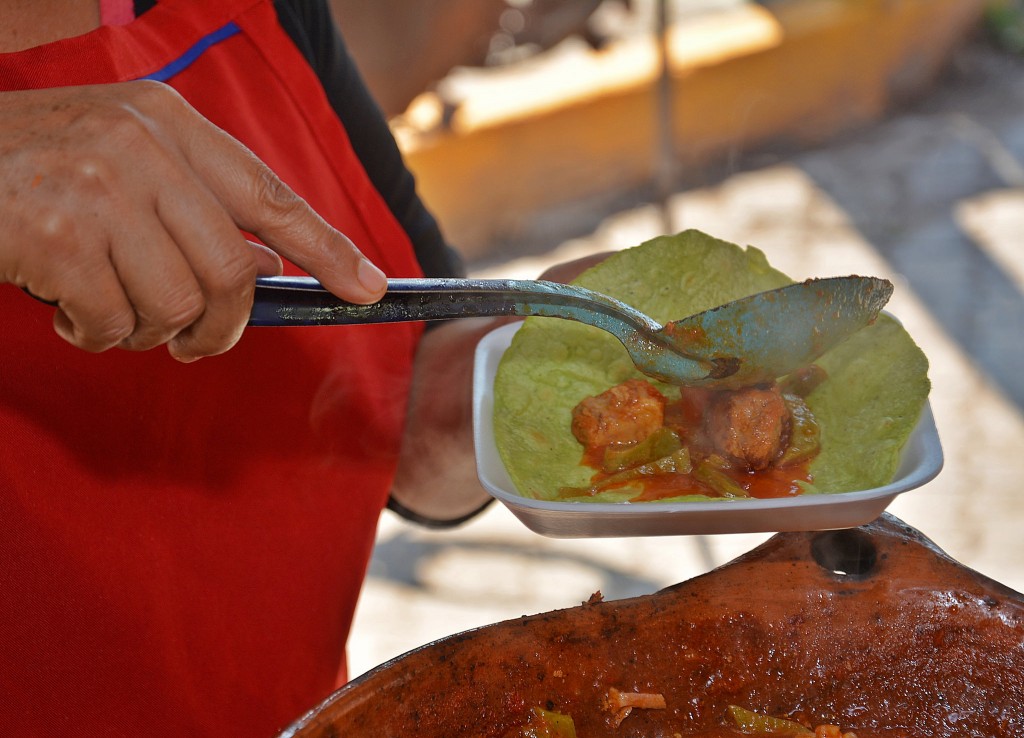 Octava Feria del Nopal San Esteban 2016