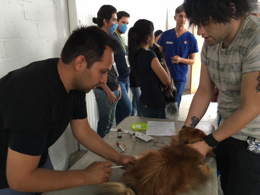 Campaña de esterilización "No al Abandono"