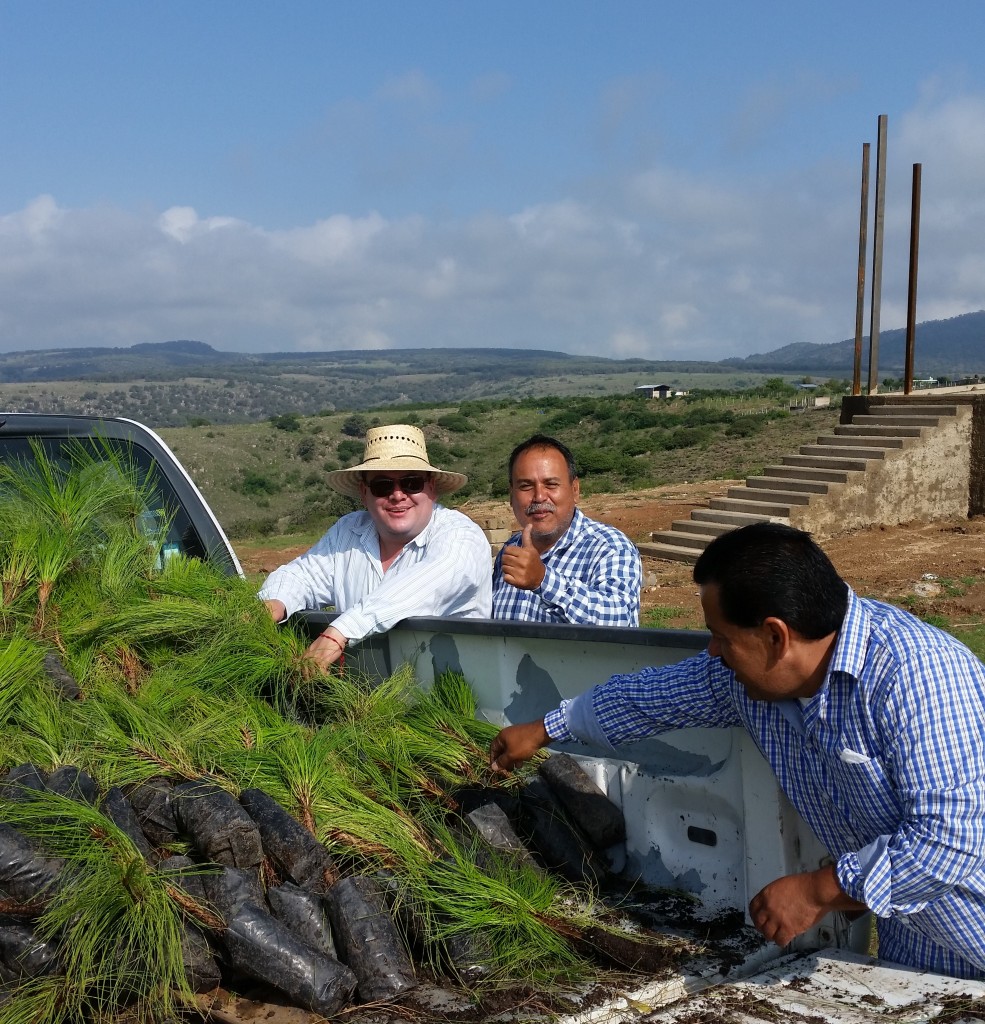 Programa de Reforestaciones 2016