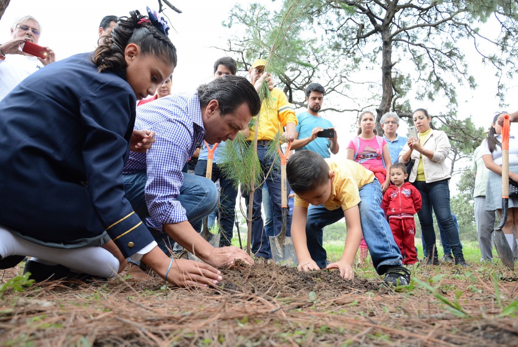 Inicio de la reforestación en el Bosque de la Primavera