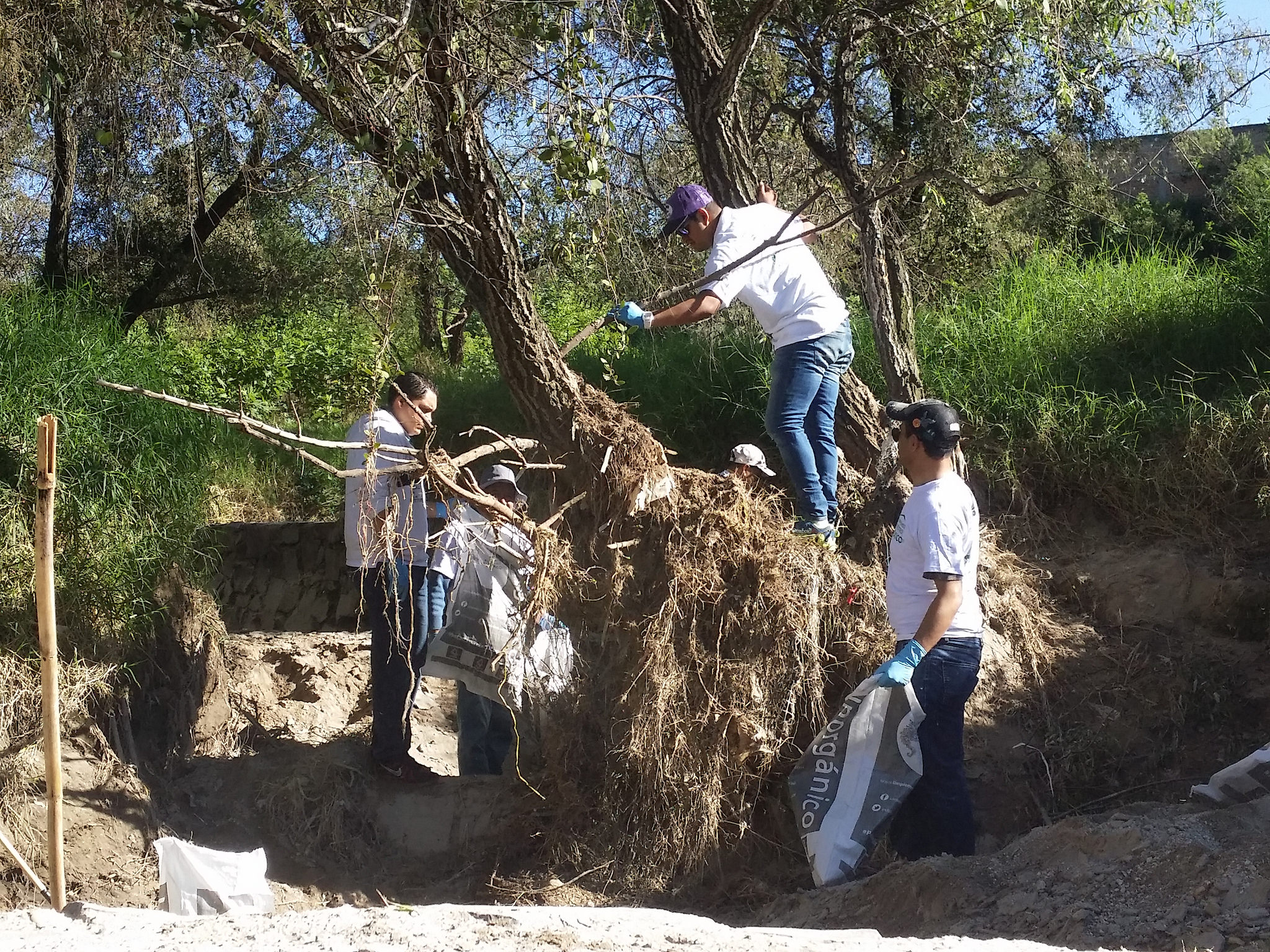 Reúnen Zapopan 48 toneladas de electrónicos y 7 de basura