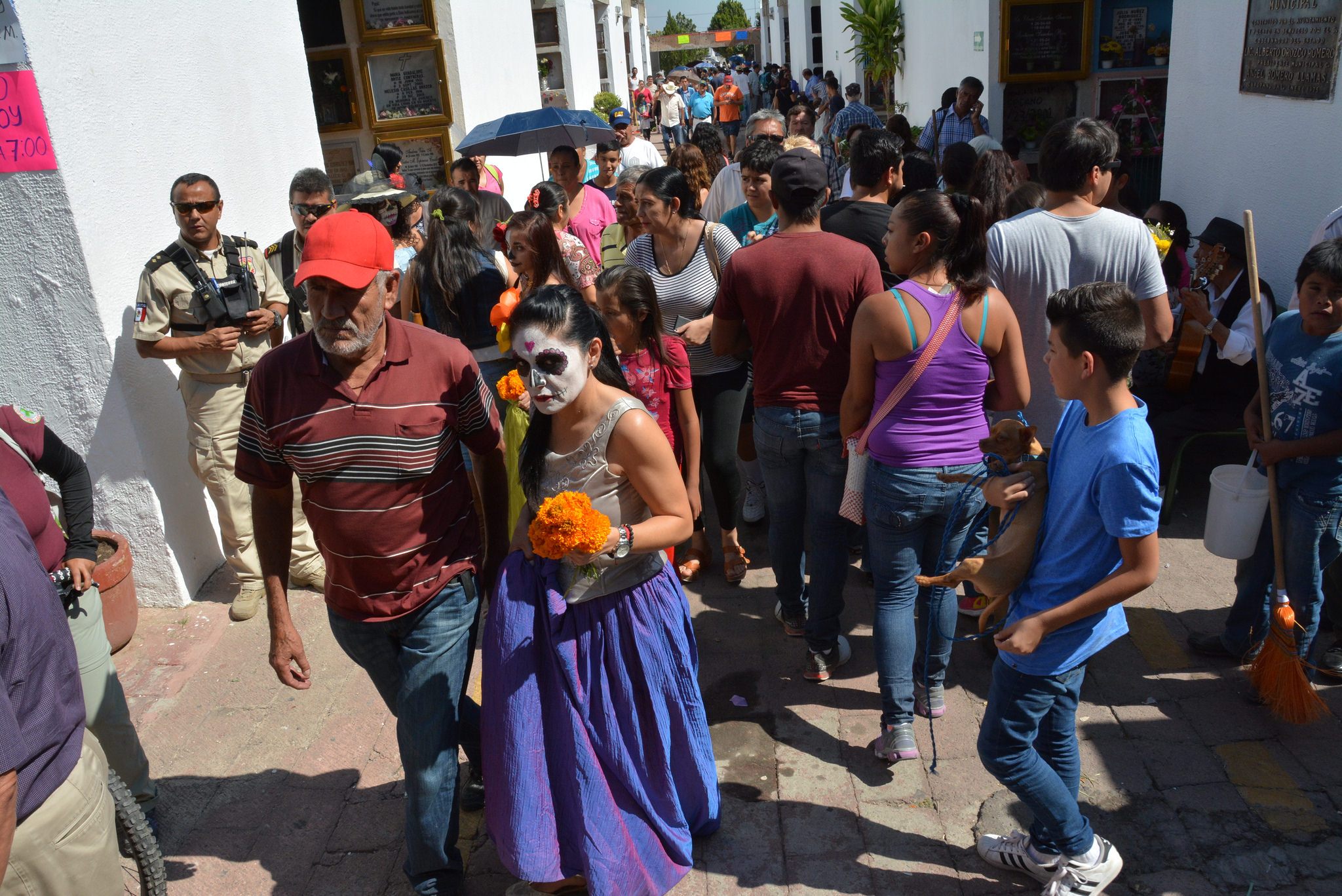 Los cementerios de Zapopan serán pioneros en Jalisco por su certificación como espacios libres criaderos de mosquitos