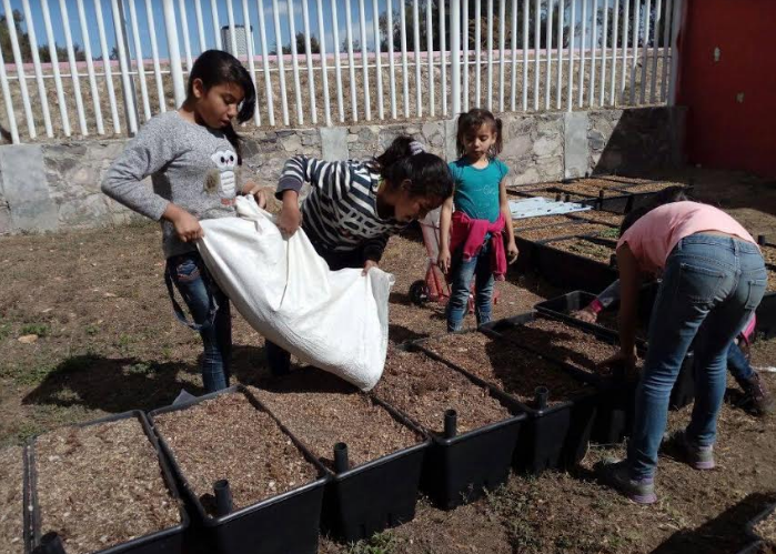 Programa de huertos urbanos del DIF Zapopan