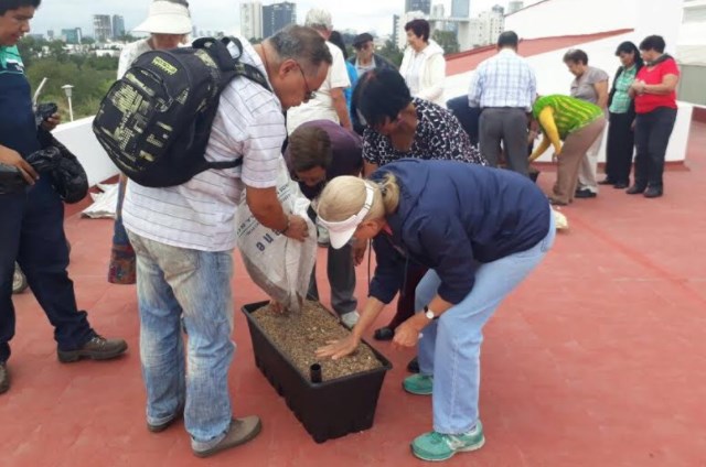 Agricultura urbana para adultos mayores