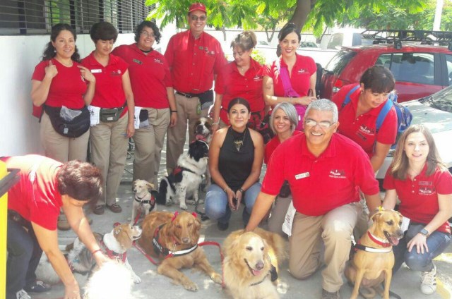 Perros en el trabajo