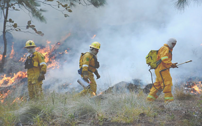 Capacita Zapopan a ejidatarios de la zona del Bosque La Primavera en prevención y combate de incendios