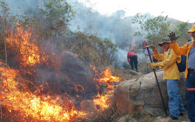 Imparte Ecología de Zapopan Curso Básico de Protección contra Incendios Forestales