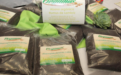 Emprendedores de Zapopan exhibirán amplia gama de productos