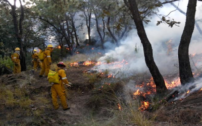 Contabiliza Zapopan combate y extinción de 10 incendios forestales durante el presente estiaje