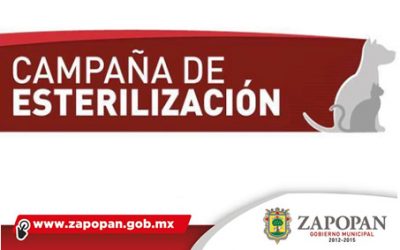 Realizan jornada de esterilización de mascotas en Santa Ana Tepetitlán