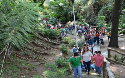 Parque Hundido de Zapopan, un espacio de recreación y educación ambiental
