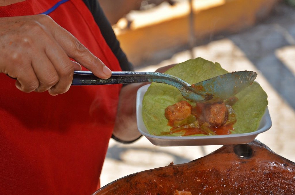 Transcurre con éxito la Octava Feria del Nopal San Esteban 2016