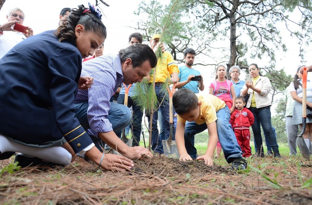 Zapopan inicia campaña de reforestación en el Bosque La Primavera; recibirá 35mil árboles