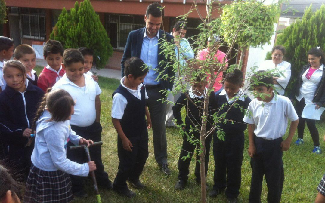 El Gobierno Municipal de Zapopan inicia la entrega de ahuehuetes para escuelas