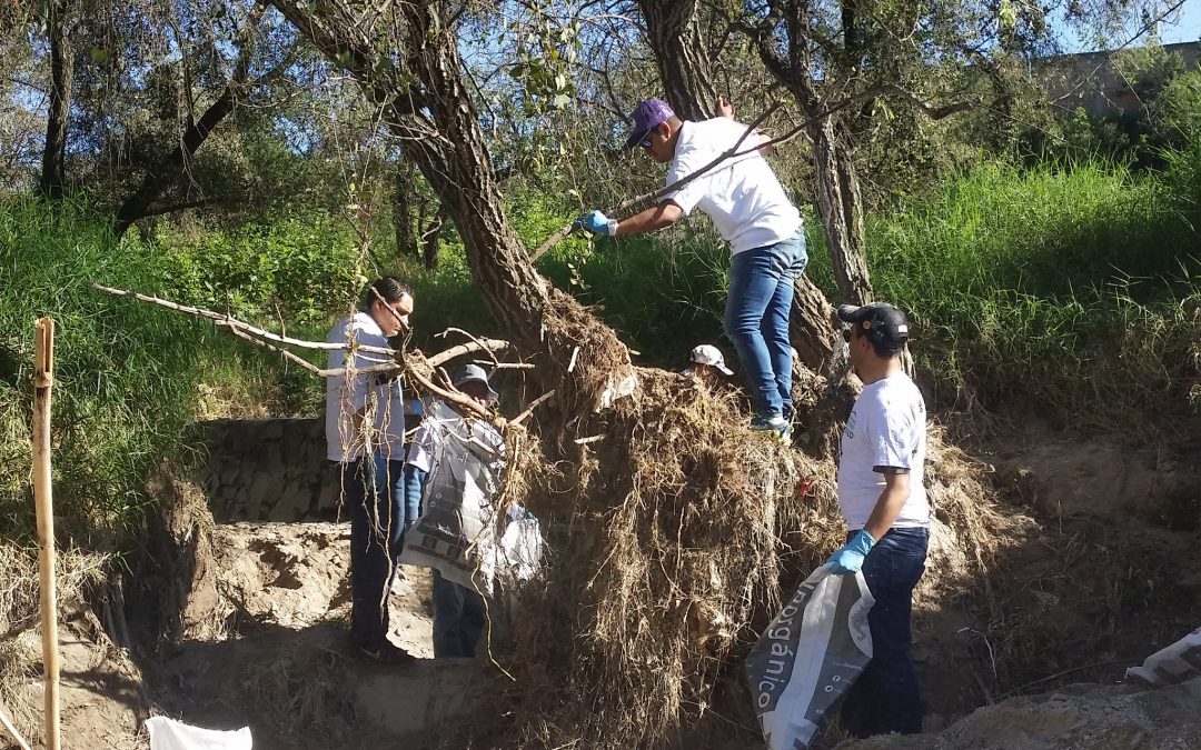 Reúne Zapopan 48 toneladas de electrónicos y 7 de basura