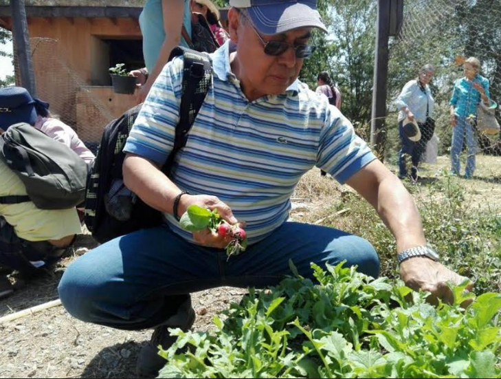 Inicia Zapopan, en el Parque Agroecológico, cursos gratuitos sobre cultivo de alimentos