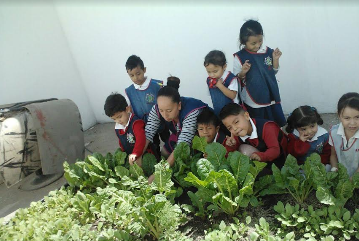 Zapopan, Ciudad de los Niños, fomenta el cultivo de huertos escolares