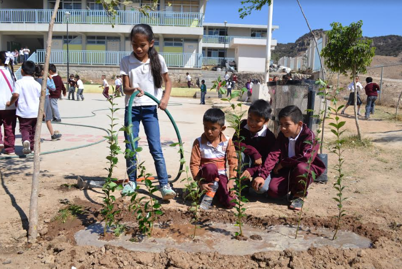 Inicia en Valle de los Molinos programa de reforestación para planteles educativos