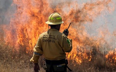 Gobierno de Zapopan insta a la ciudanía a realizar acciones para evitar incendios forestales
