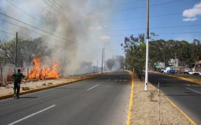 Sofoca Zapopan incendios registrados cerca del Bosque El Centinela