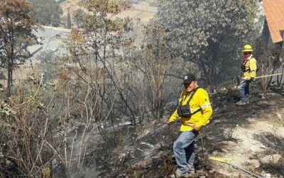 Brigadistas forestales de Zapopan sofocan incendio en Cerro de Bugambilias