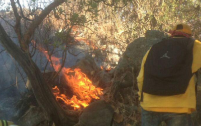 Zapopan interviene oportunamente incendio provocado en Cerro El Colli