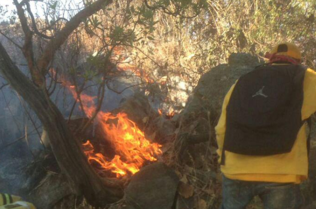 Zapopan interviene oportunamente incendio provocado en Cerro El Colli