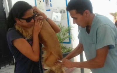Zapopan refrenda compromiso de cuidar la salud de los animales