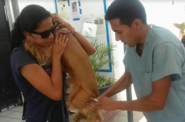 Zapopan refrenda compromiso de cuidar la salud de los animales