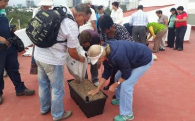 DIF Zapopan fomenta la agricultura urbana entre adultos mayores