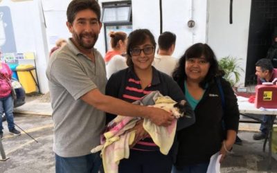 Zapopan realiza esterilizaciones gratuitas para perros y gatos en el municipio