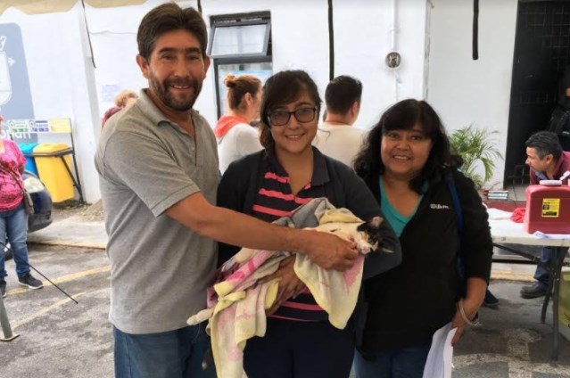 Zapopan realiza esterilizaciones gratuitas para perros y gatos en el municipio