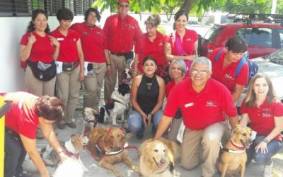 Servicios Públicos Municipales celebran Día Internacional de llevar tu Perro al Trabajo