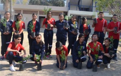 Difunde Zapopan cultura verde a través del programa Estudiante Adopta un Árbol