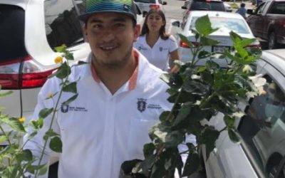 Jóvenes brigadistas de Zapopan entregan más de mil árboles a ciudadanos