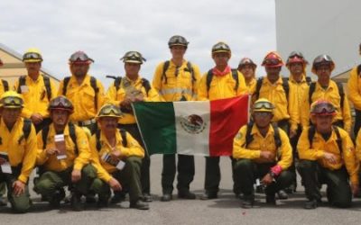 Zapopan participa con brigadistas que combaten el fuego en Canadá