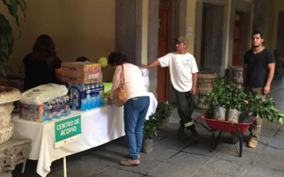 Recauda Zapopan 2 toneladas de víveres para damnificados por sismo y retribuye donación con arbolado
