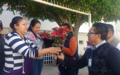 Repartirá Zapopan 6 mil nochebuenas, flor emblemática de las fiestas decembrinas