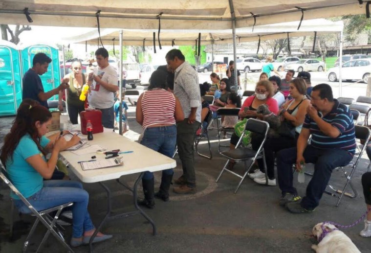 Supera Zapopan la meta en esterilizaciones a mascotas y fortalece colaboración con asociaciones civiles