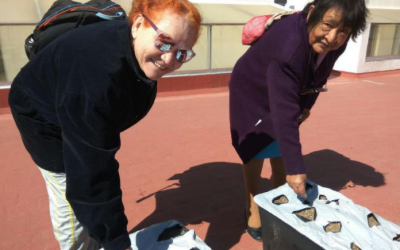 Capacita DIF Zapopan sobre el cultivo invernal de huertos