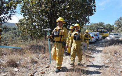 Inicia Zapopan acciones para prevenir incendios forestales en bosque aledaño a Bugambilias