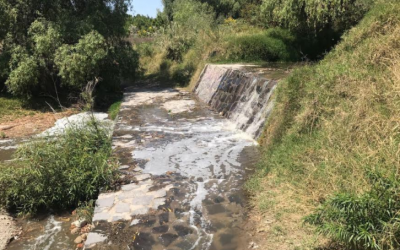 Medio Ambiente Zapopan realiza acciones legales para conservar el Bosque Colomos III
