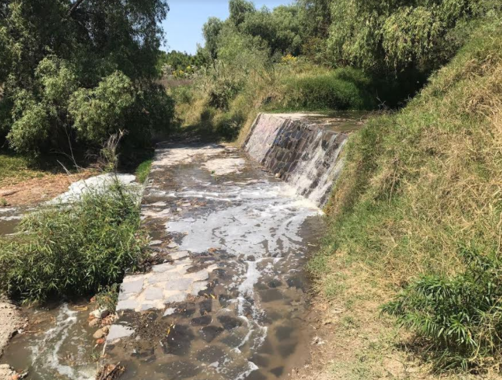 Medio Ambiente Zapopan realiza acciones legales para conservar el Bosque Colomos III