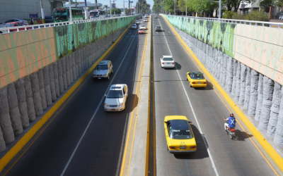 Presenta Zapopan el mural “Bosque de la Primavera” en avenida López Mateos