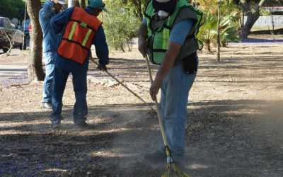 Realizan mantenimiento a las colonias Real Vallarta y Eucalipto Vallarta